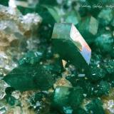 Dioptasa<br />Depósito Altyn-Tyube, Zona Altyn-Tyube, Estepas Kirguises, Región Karaganda, Kazajstán<br />Encuadre de la fotografía 20 mm.<br /> (Autor: Rafael Galiana)