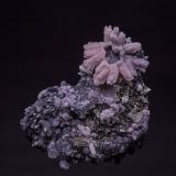 Rhodochrosite, Arsenopyrite, Boulangerite, QuartzMina Stan Trg (Stan Terg, Stari Trg), Complejo Trep&#269;a, Valle Trep&#269;a, Kosovska Mitrovica, Distrito Kosovska Mitrovica, Kosovo9.0 x 8.5 cm (Author: am mizunaka)