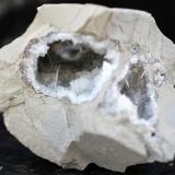 Celestina<br />Pedrera Tossal Gros, La Pedrera, Ivorra, Comarca La Segarra, Lérida / Lleida, Cataluña / Catalunya, España<br />63 x 55 x 50 mm.<br /> (Autor: José Luis Zamora)