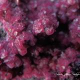 Beta-Roselita<br />Mina Aghbar (Mina Arhbar), Distrito minero Bou Azzer, Provincia Zagora, Región Drâa-Tafilalet, Marruecos<br />Encuadre de la fotografía 8 mm.<br /> (Autor: Rafael Galiana)