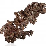 Copper<br />Pewabic Lode, Houghton County, Michigan, USA<br />16,0	x	9,5	x	17,0	cm<br /> (Author: MIM Museum)