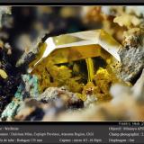 Wulfenite<br />Dulcinea de Llampos Mine, Cachiyuyo de Llampos, Copiapó Province, Atacama Region, Chile<br />fov 2.5 mm<br /> (Author: ploum)