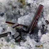 Schorl<br />Lohning Quarry (Lohninger Quarry), Hüttwinkl Valley, Rauris Valley, Zell am See District, Hohe Tauern, Salzburg, Austria<br />FOV 3,4 mm<br /> (Author: Gerhard Brandstetter)
