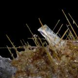 Rutile (variety sagenite)<br />Lohning Quarry (Lohninger Quarry), Hüttwinkl Valley, Rauris Valley, Zell am See District, Hohe Tauern, Salzburg, Austria<br />FOV 3,8 mm<br /> (Author: Gerhard Brandstetter)