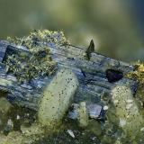 Brookite and Rutile<br />Lohning Quarry (Lohninger Quarry), Hüttwinkl Valley, Rauris Valley, Zell am See District, Hohe Tauern, Salzburg, Austria<br />FOV 4 mm<br /> (Author: Gerhard Brandstetter)